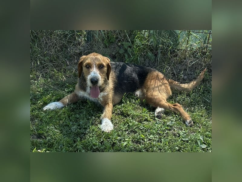 Entspannter, witziger Tim sucht Familie fürs Leben