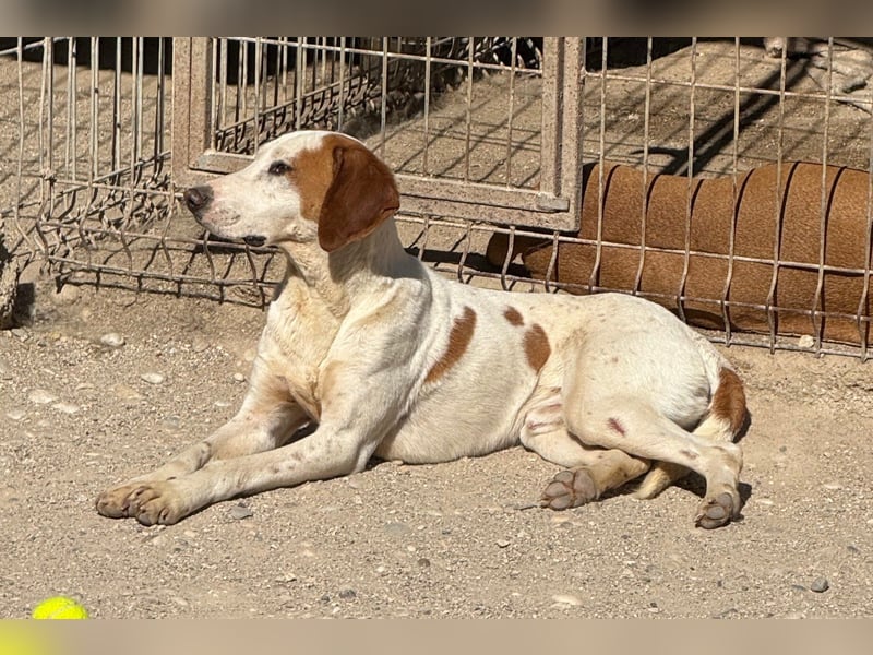 Sonnenschein Tilly - sucht so sehr seine PS/ES