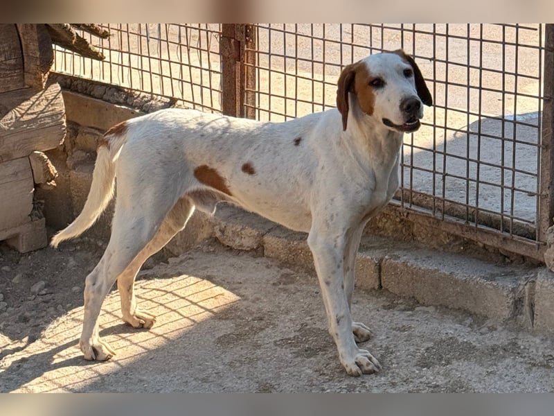 Sonnenschein Tilly - sucht so sehr seine PS/ES