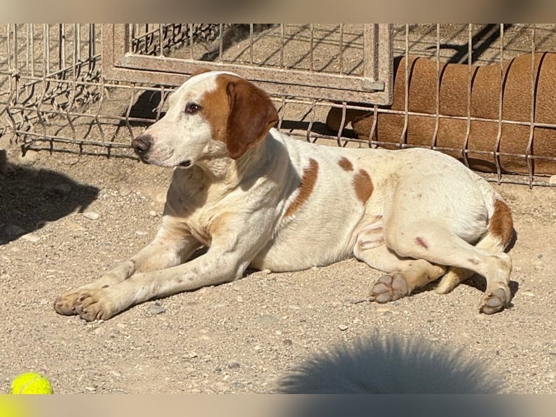 Sonnenschein Tilly - sucht so sehr seine PS/ES
