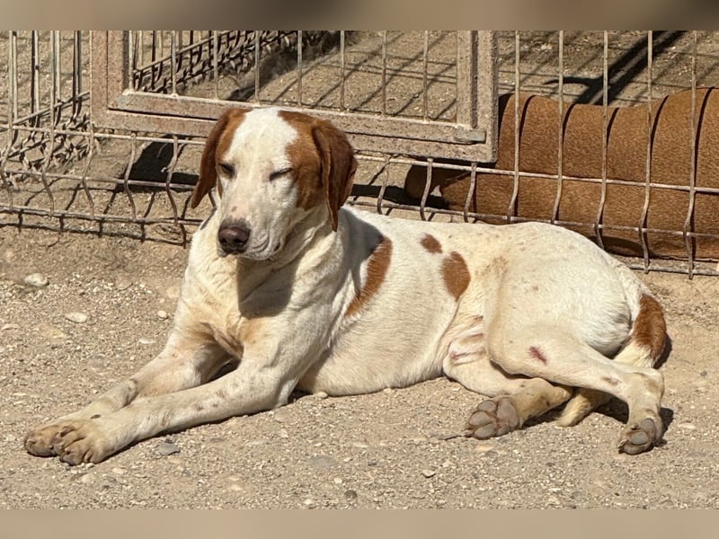 Sonnenschein Tilly - sucht so sehr seine PS/ES