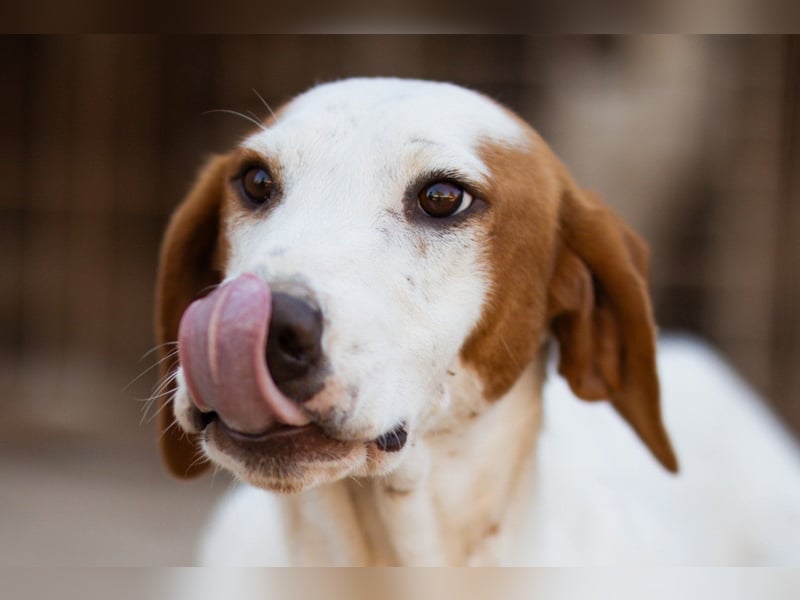 Sonnenschein ♥ Tilly ♥ sucht so sehr eine PS - am liebsten direkt ES