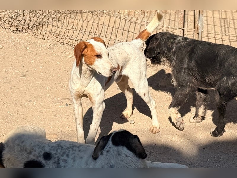 Sonnenschein Tilly - sucht so sehr seine PS/ES