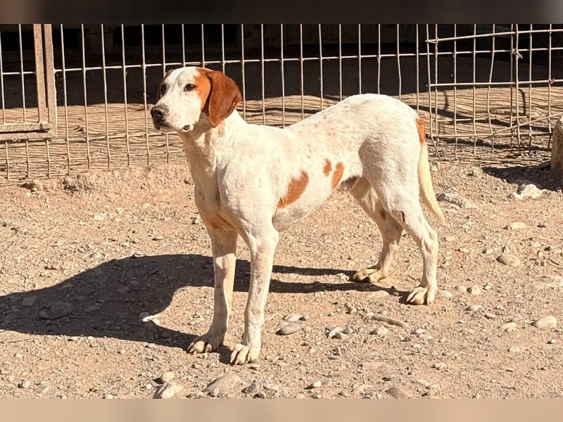 Sonnenschein Tilly - sucht so sehr seine PS/ES