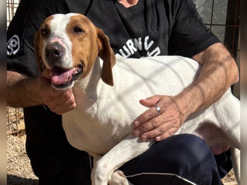 Jaron ❤️ aktiv, intelligent & so lieb!