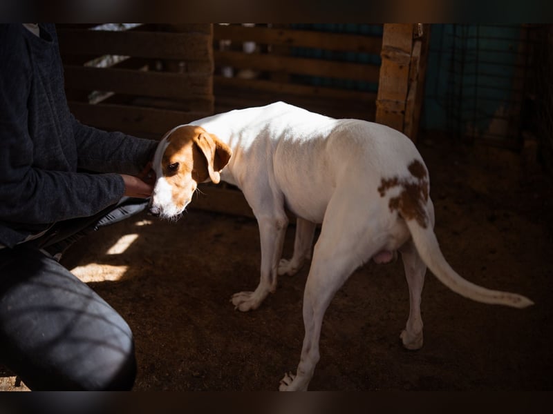 Jaron ❤️ aktiv, intelligent & so lieb!