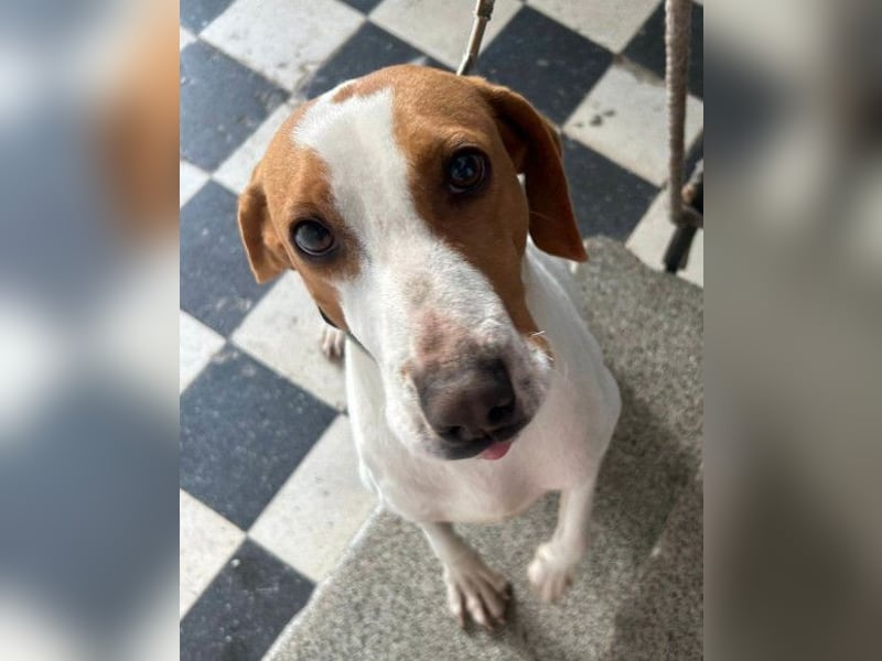 Jaron ❤️ aktiv, intelligent & so lieb!