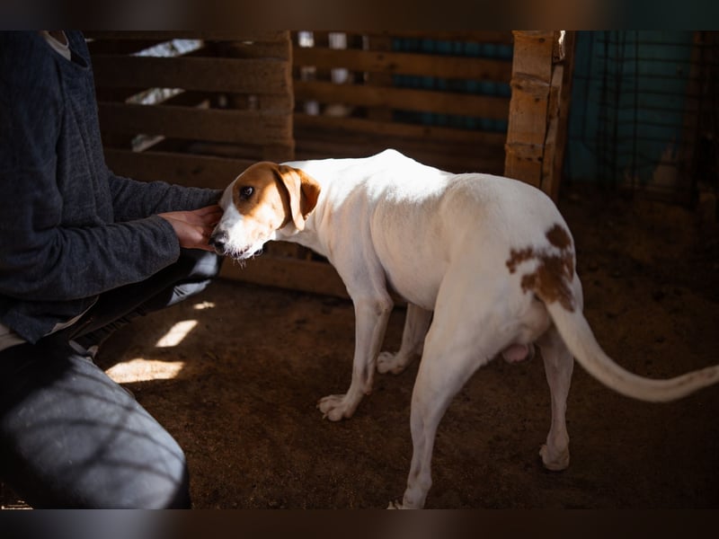 Jaron ❤️ aktiv, intelligent & so lieb!