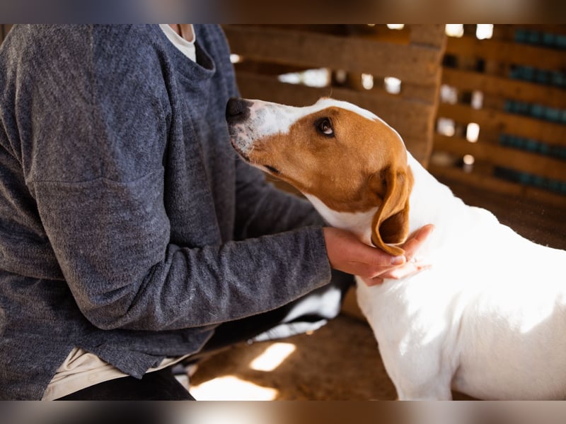 Jaron ❤️ aktiv, intelligent & so lieb!