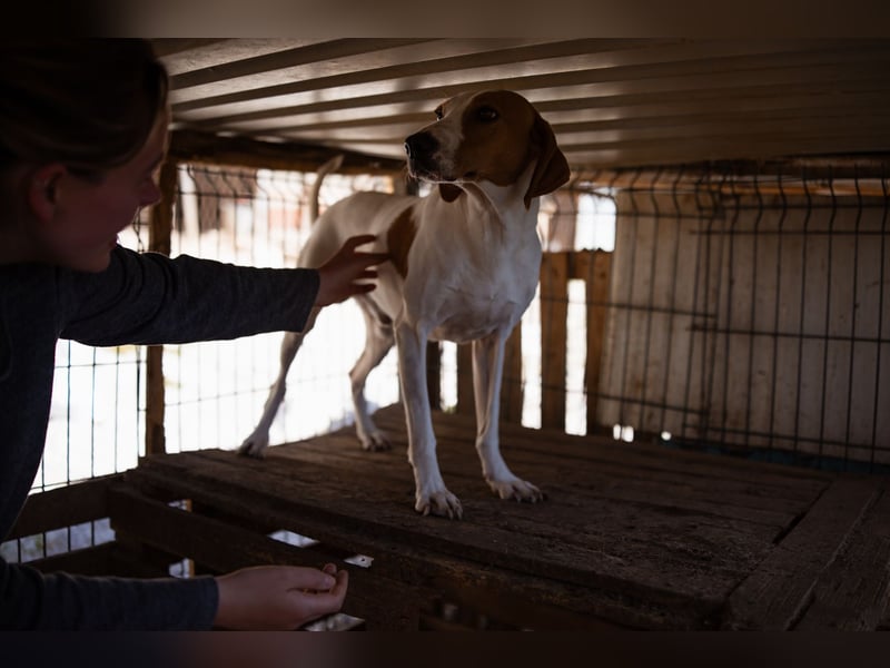 Jaron ❤️ aktiv, intelligent & so lieb!