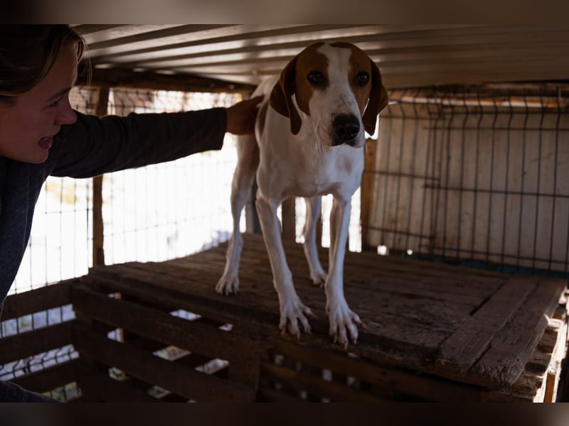 Jaron ❤️ aktiv, intelligent & so lieb!