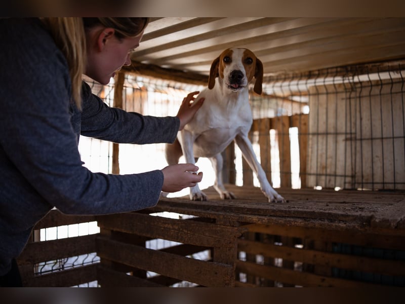 Jaron ❤️ aktiv, intelligent & so lieb!