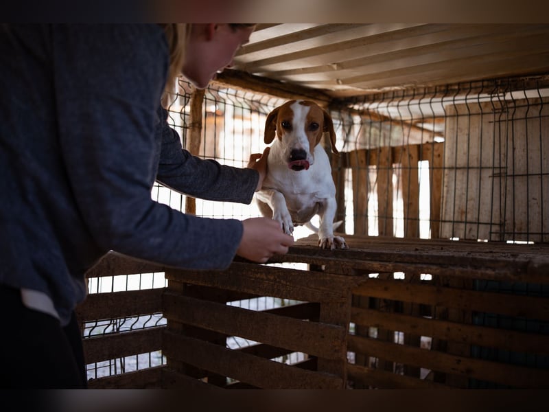 Jaron ❤️ aktiv, intelligent & so lieb!