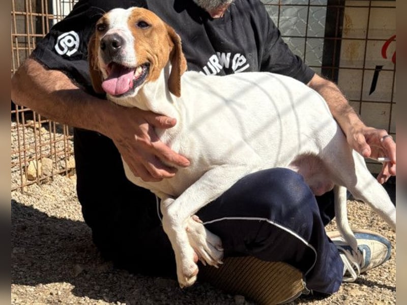 Jaron ❤️ aktiv, intelligent & so lieb!