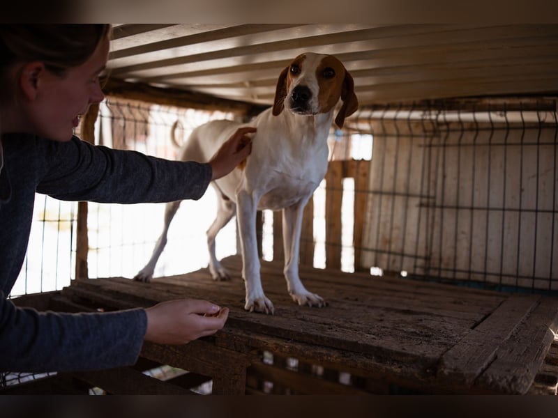 Jaron ❤️ aktiv, intelligent & so lieb!
