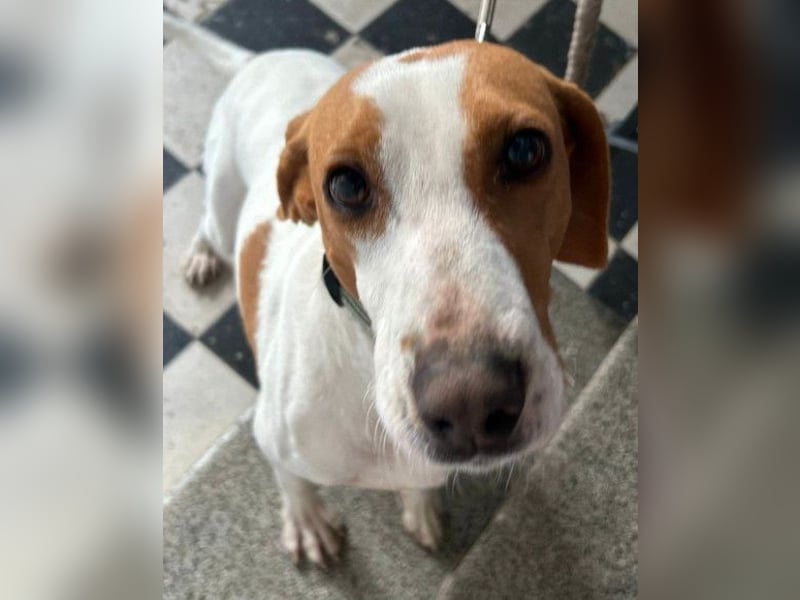 Jaron ❤️ aktiv, intelligent & so lieb!