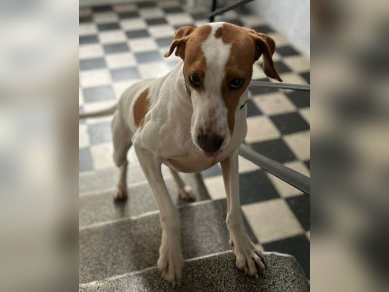 Jaron ❤️ aktiv, intelligent & so lieb!