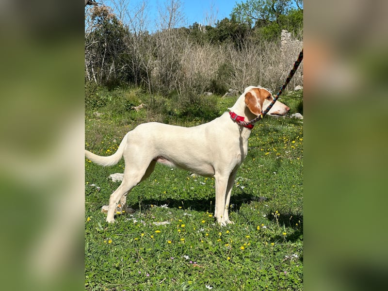 Eli - Kuschelmodus an