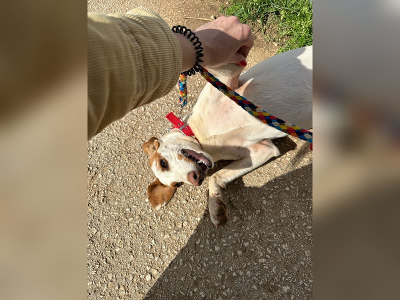 Eli - Kuschelmodus an