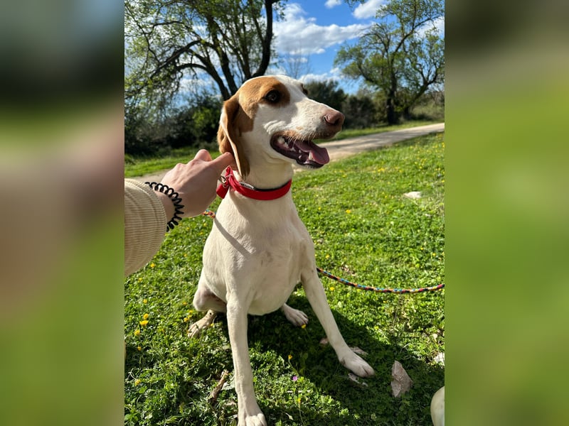 Eli - Kuschelmodus an