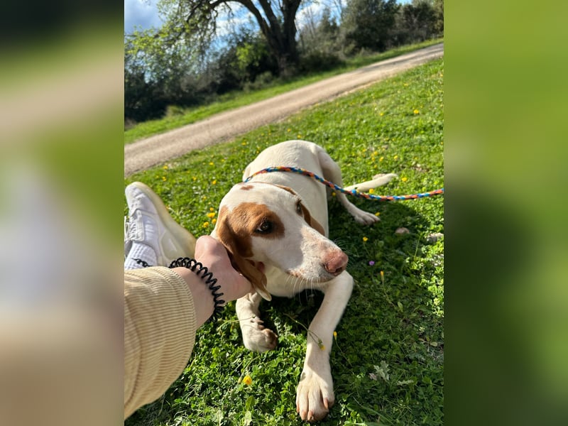 Eli - Kuschelmodus an