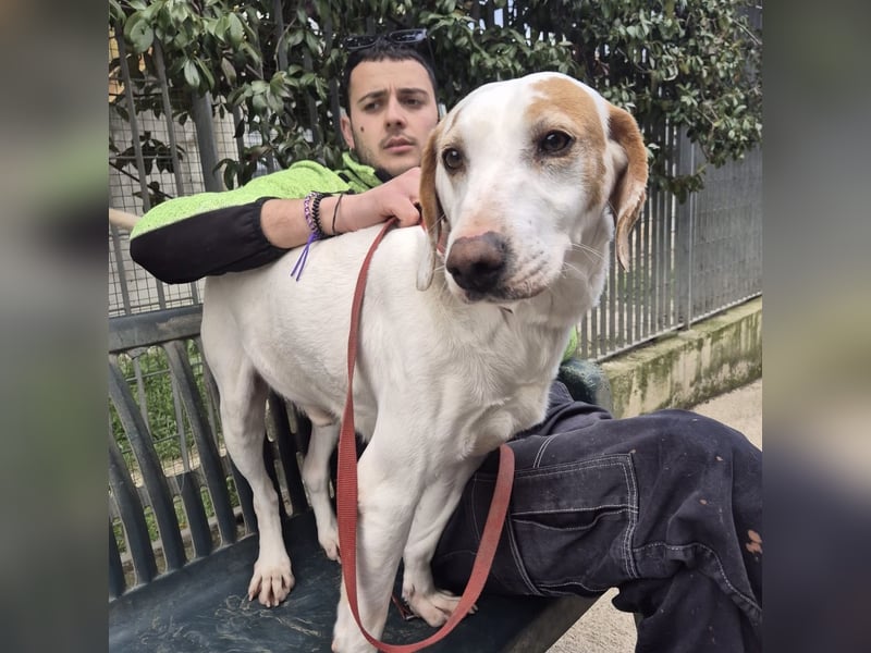 Jason - sanfter, traumhafter Bub