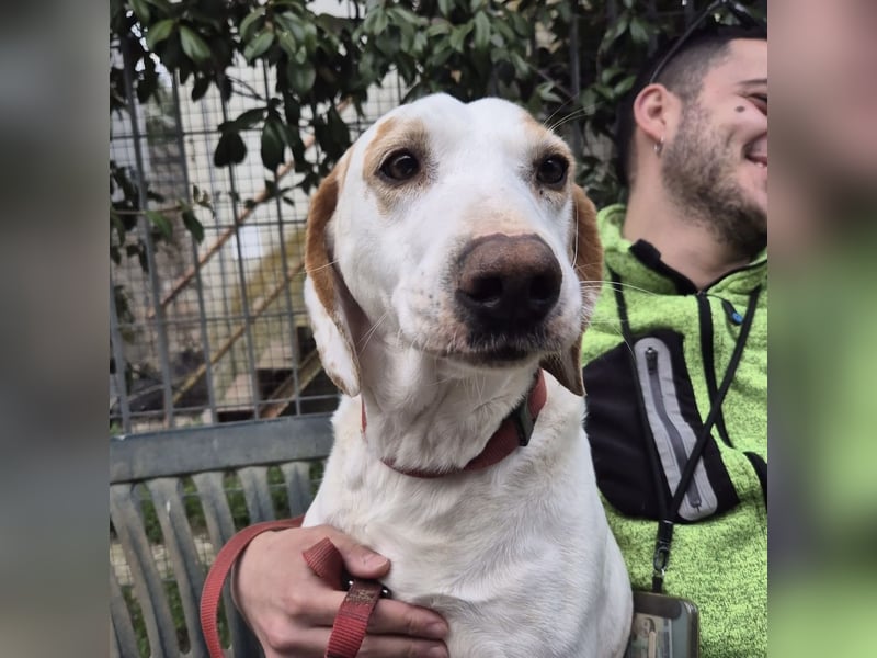 Jason - sanfter, traumhafter Bub