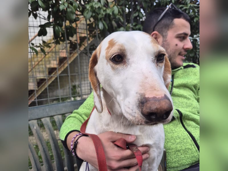 Jason - sanfter, traumhafter Bub