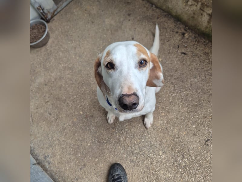 Jason - sanfter, traumhafter Bub