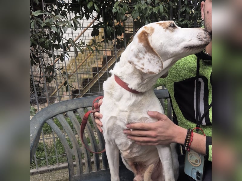 Jason - sanfter, traumhafter Bub