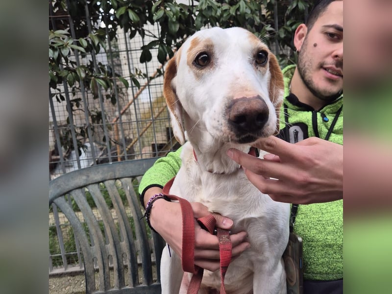 Jason - sanfter, traumhafter Bub