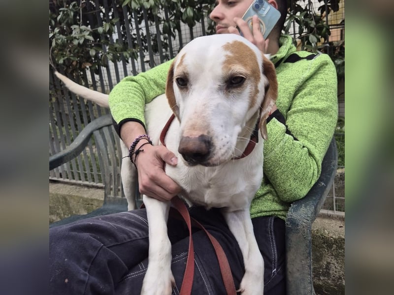 Jason - sanfter, traumhafter Bub