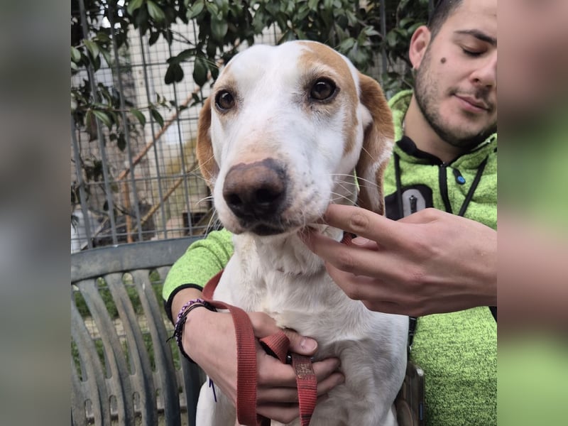 Jason - sanfter, traumhafter Bub