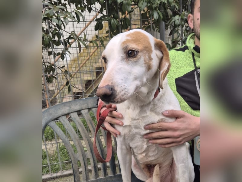 Jason - sanfter, traumhafter Bub