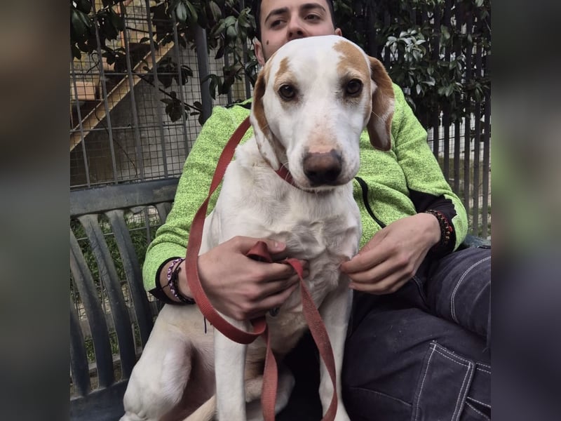 Jason - sanfter, traumhafter Bub