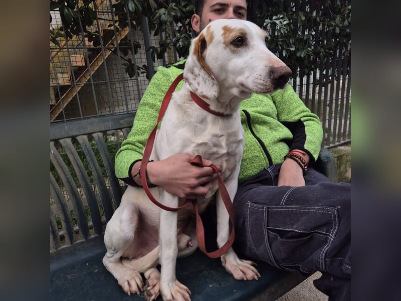 Jason - sanfter, traumhafter Bub