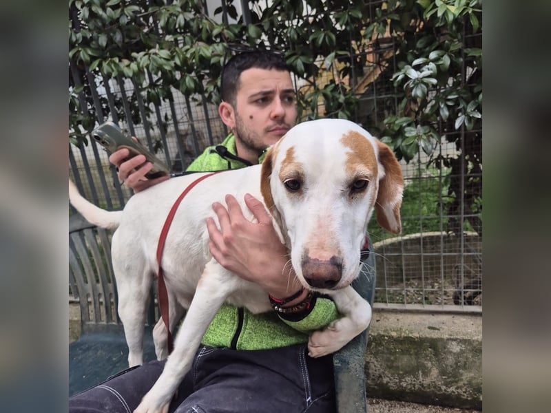 Jason - sanfter, traumhafter Bub