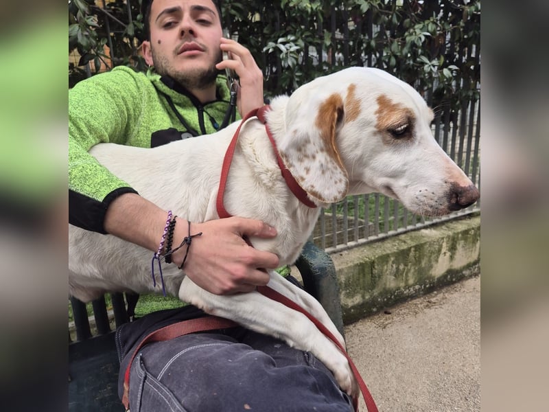 Jason - sanfter, traumhafter Bub