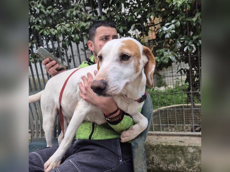 Jason - sanfter, traumhafter Bub