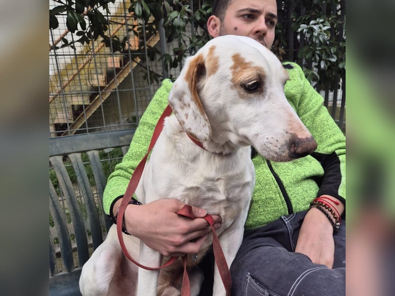 Jason - sanfter, traumhafter Bub