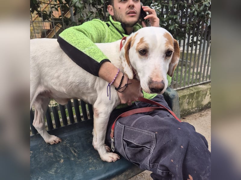 Jason - sanfter, traumhafter Bub