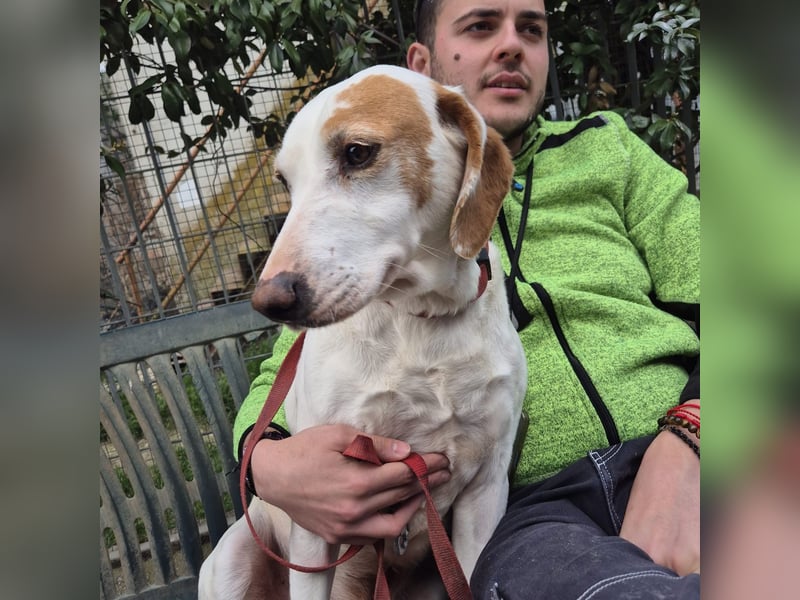 Jason - sanfter, traumhafter Bub