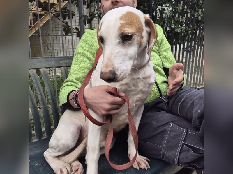 Jason - sanfter, traumhafter Bub