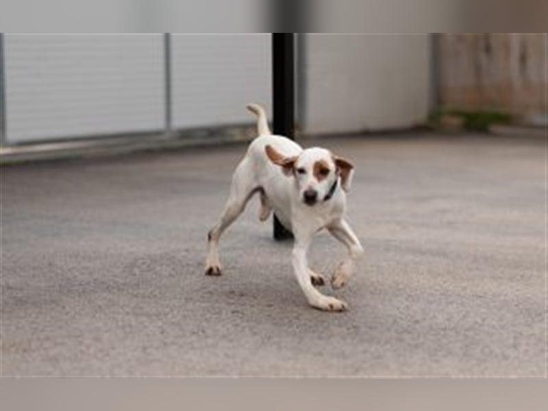 Notfall Besonderer Niki