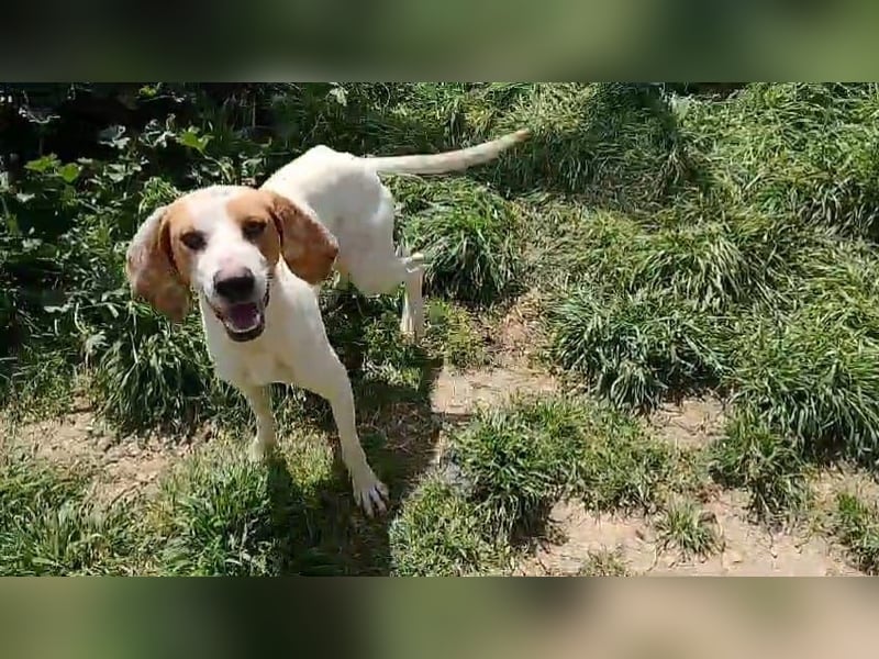 Ciro