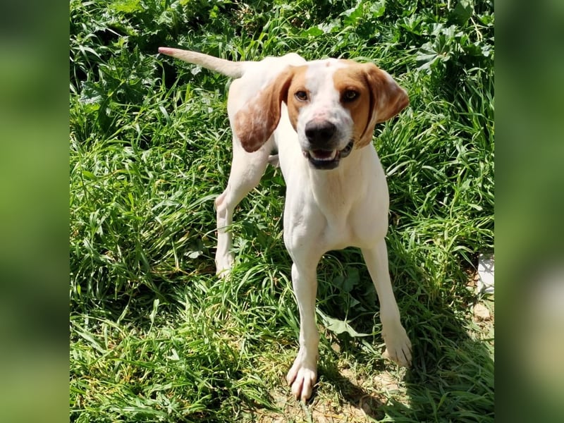 Ciro
