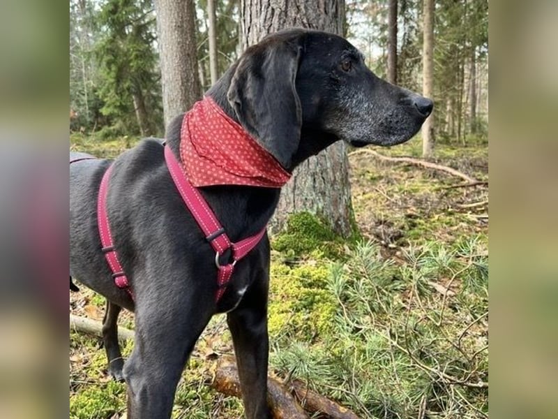 Nero - ein wunderbarer Bub