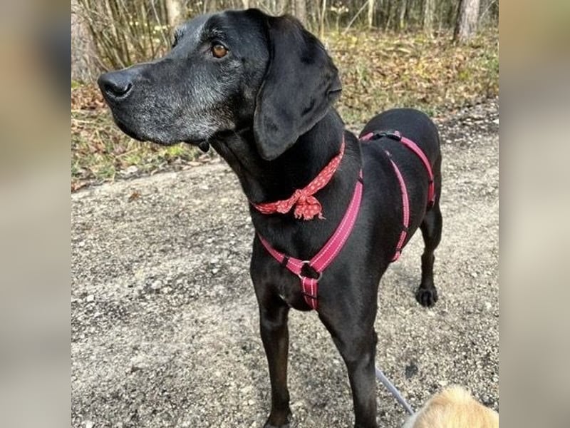 Nero - ein wunderbarer Bub