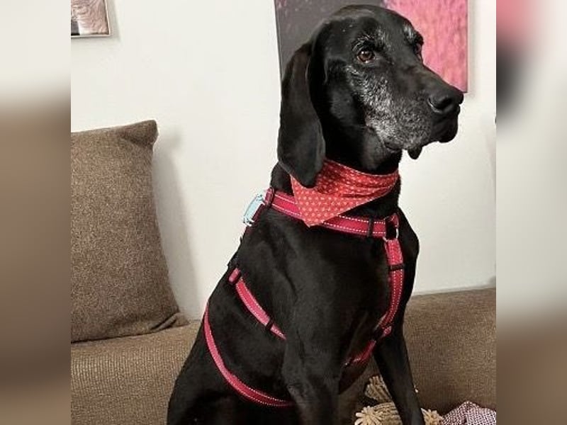 Nero - ein wunderbarer Bub