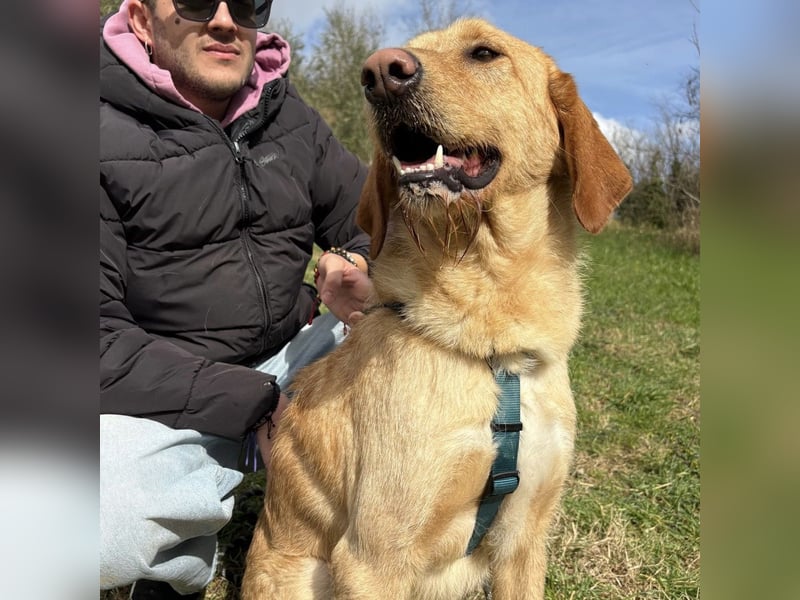 Lillo - ein ruhiger, bescheidener,  freundlicher Bub